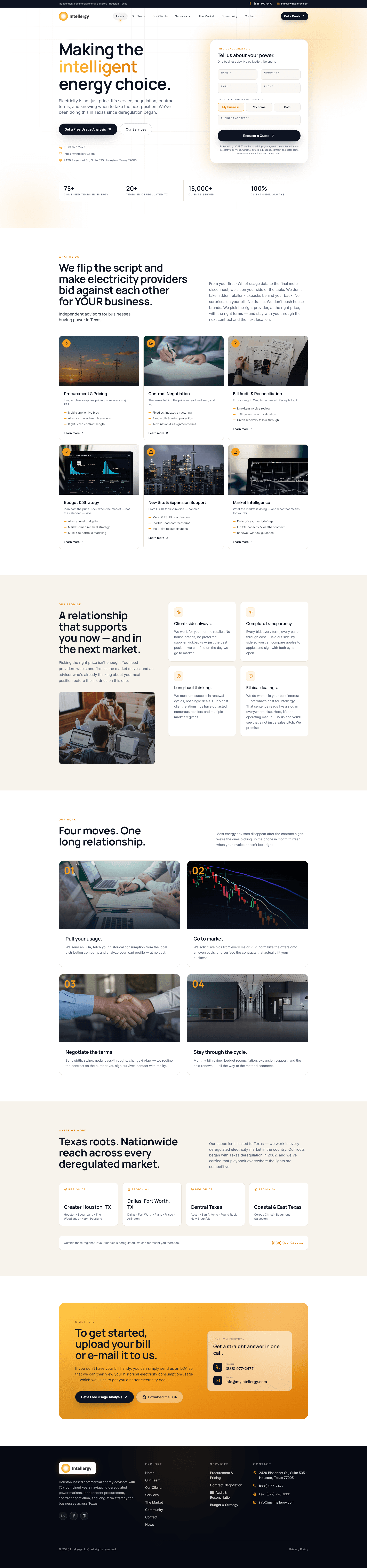 Intellergy website screenshot